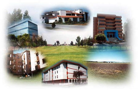 INMOBILIARIA